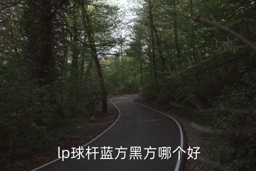  lp球桿藍方黑方哪個好