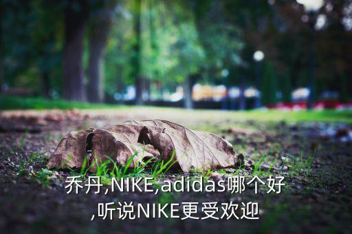 喬丹,NIKE,adidas哪個(gè)好,聽說NIKE更受歡迎