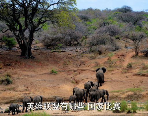 英雄聯(lián)盟有哪些 國(guó)家比賽