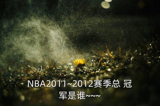 NBA2011~2012賽季總 冠軍是誰~~~