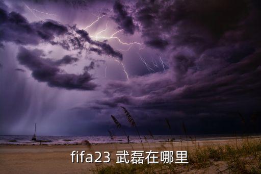 fifa17武磊在哪個隊,中國足球神童武磊99年來中國踢球