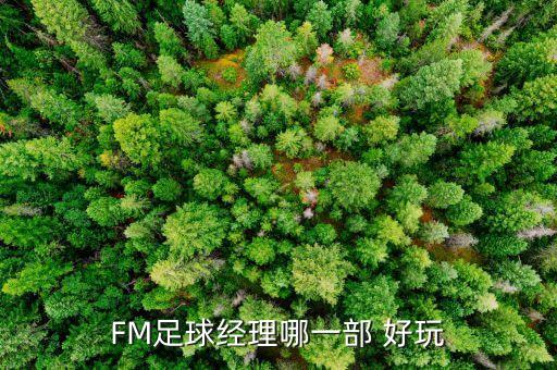 fm16哪個(gè)隊(duì)好玩,推薦玩fm2011破解完美英超沒弱隊(duì)