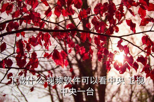 下載什么 視頻軟件可以看中央 衛(wèi)視中央一臺(tái)