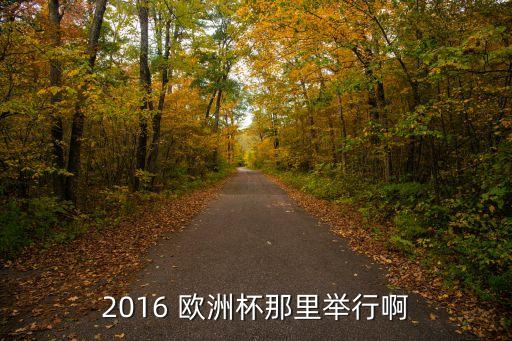 2016歐洲杯在哪個(gè)國(guó)家舉行,法國(guó)成為2016歐洲杯主辦國(guó)