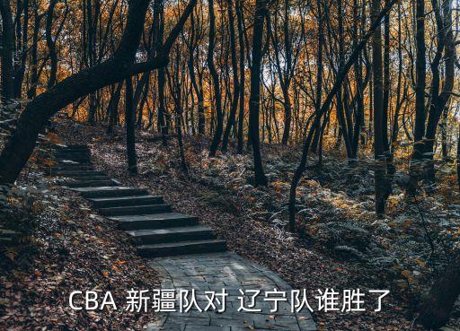 CBA 新疆隊對 遼寧隊誰勝了