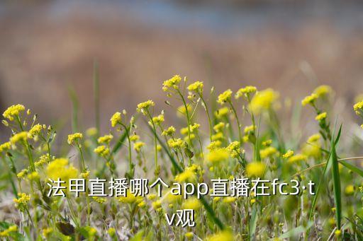 法甲直播哪個app直播在fc3·tv觀