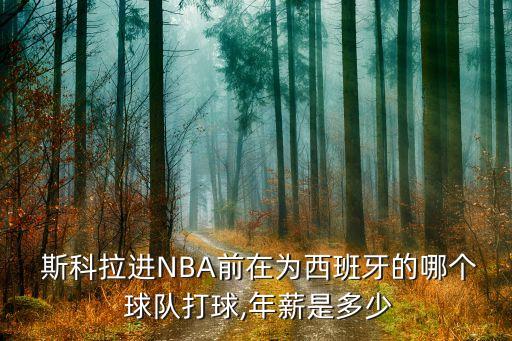  斯科拉進(jìn)NBA前在為西班牙的哪個 球隊打球,年薪是多少