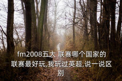  fm2008五大 聯(lián)賽哪個國家的 聯(lián)賽最好玩,我玩過英超,說一說區(qū)別