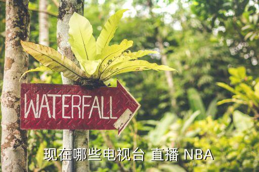 現(xiàn)在哪些電視臺(tái) 直播 NBA