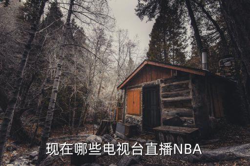 現(xiàn)在哪些電視臺(tái)直播NBA