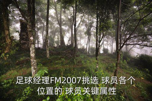 足球經(jīng)理FM2007挑選 球員各個 位置的 球員關(guān)鍵屬性