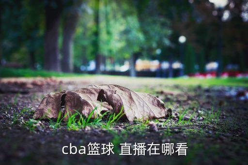 哪個(gè)網(wǎng)站直播cba直播嗎,nba新賽季