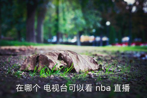 在哪個(gè) 電視臺(tái)可以看 nba 直播