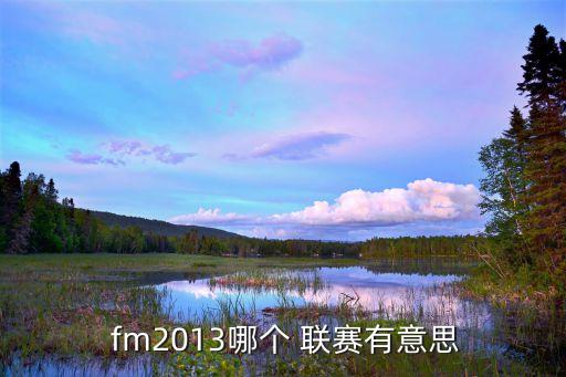  fm2013哪個 聯(lián)賽有意思