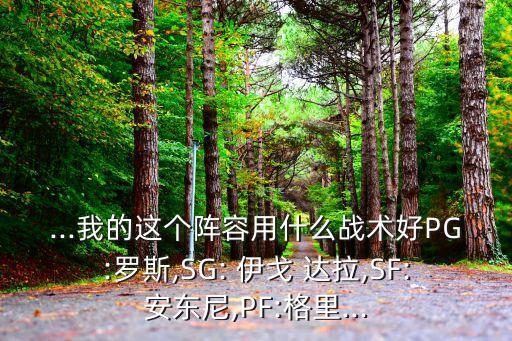 ...我的這個(gè)陣容用什么戰(zhàn)術(shù)好PG:羅斯,SG: 伊戈 達(dá)拉,SF:安東尼,PF:格里...