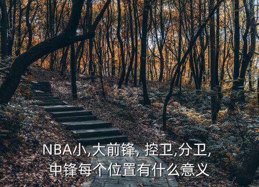 NBA小,大前鋒, 控衛(wèi),分衛(wèi), 中鋒每個(gè)位置有什么意義