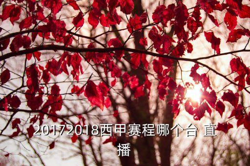 哪個衛(wèi)視直播2018歐冠,2018年上架愛奇藝獨播歐冠電影