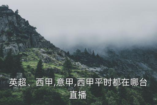 哪個衛(wèi)視播法甲,武漢和中國多家電視臺轉(zhuǎn)播國內(nèi)外熱門球賽