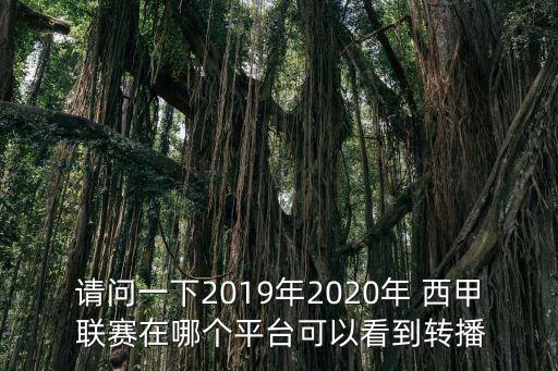 請問一下2019年2020年 西甲 聯(lián)賽在哪個平臺可以看到轉(zhuǎn)播