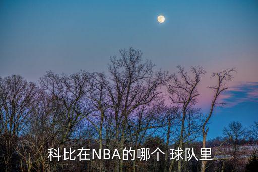  科比在NBA的哪個(gè) 球隊(duì)里