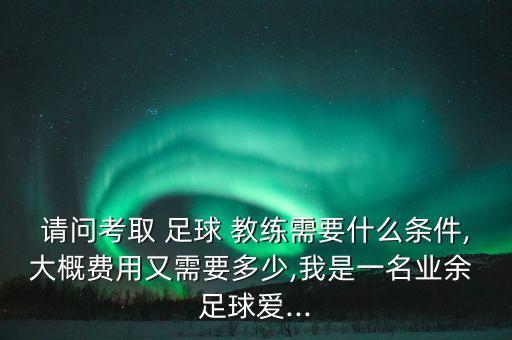 請問考取 足球 教練需要什么條件,大概費用又需要多少,我是一名業(yè)余 足球愛...