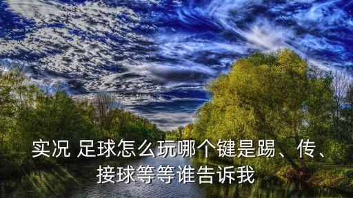  實況 足球怎么玩哪個鍵是踢、傳、接球等等誰告訴我