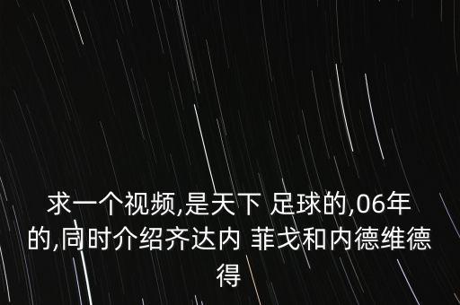 求一個視頻,是天下 足球的,06年的,同時介紹齊達內 菲戈和內德維德得