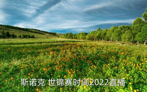 足球世錦賽比賽時間,2022年足球世界杯比賽時間