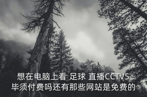 想在電腦上看 足球 直播CCTV5畢須付費嗎還有那些網(wǎng)站是免費的