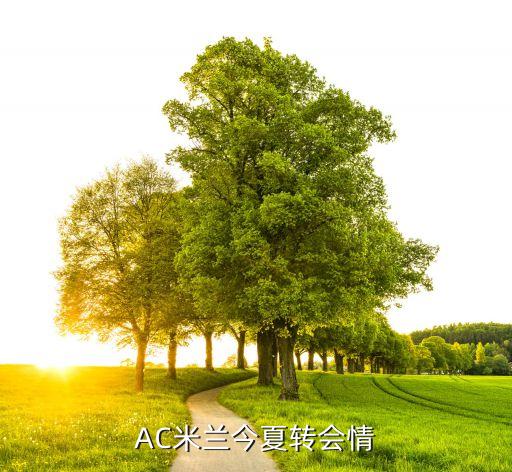 AC米蘭今夏轉(zhuǎn)會(huì)情