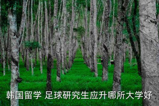 韓國(guó)留學(xué) 足球研究生應(yīng)升哪所大學(xué)好