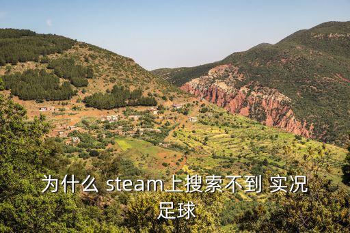 為什么 steam上搜索不到 實(shí)況 足球