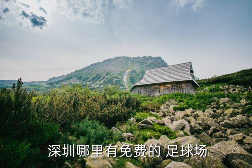  深圳哪里有免費的 足球場