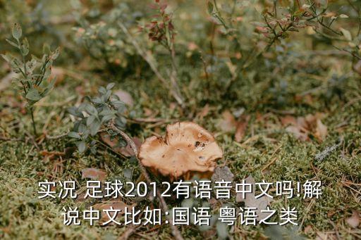 實況 足球2012有語音中文嗎!解說中文比如:國語 粵語之類