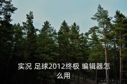  實況 足球2012終極 編輯器怎么用