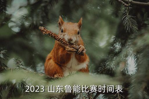 2023 山東魯能比賽時間表