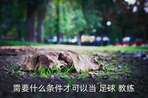 需要什么條件才可以當(dāng) 足球 教練