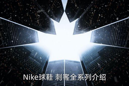 Nike球鞋 刺客全系列介紹