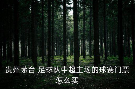 貴州茅臺(tái) 足球隊(duì)中超主場(chǎng)的球賽門票怎么買