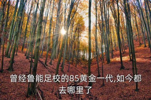 曾經(jīng)魯能足校的85黃金一代,如今都去哪里了