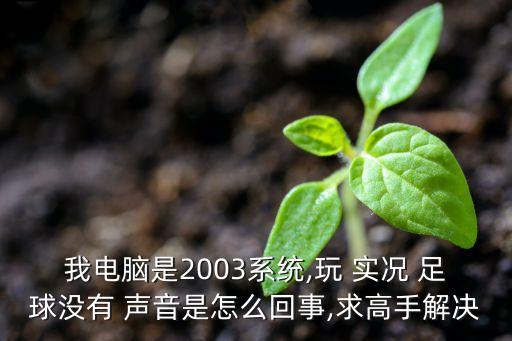 我電腦是2003系統(tǒng),玩 實況 足球沒有 聲音是怎么回事,求高手解決