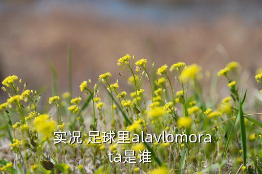  實況 足球里alavlomorata是誰