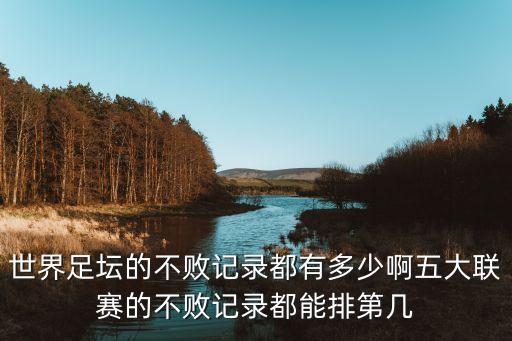 世界足壇的不敗記錄都有多少啊五大聯(lián)賽的不敗記錄都能排第幾