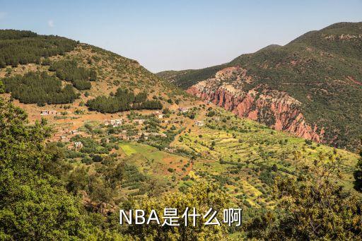 NBA是什么啊