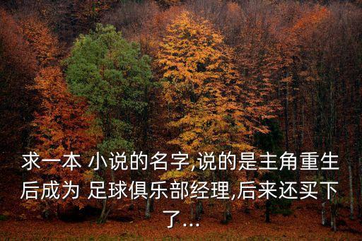 求一本 小說的名字,說的是主角重生后成為 足球俱樂部經(jīng)理,后來還買下了...