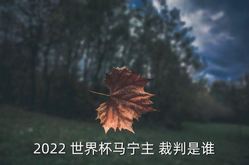 2022 世界杯馬寧主 裁判是誰(shuí)