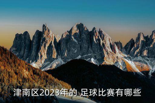 津南區(qū)2023年的 足球比賽有哪些