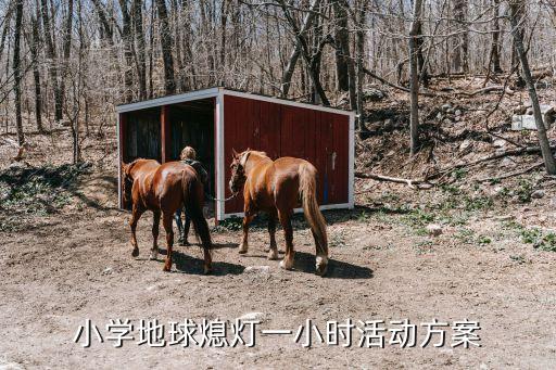 小學地球熄燈一小時活動方案