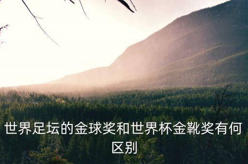 足球什么獎項,足球后衛(wèi)有什么獎項