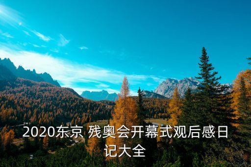 2020東京 殘奧會開幕式觀后感日記大全